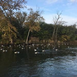 Meet your Posher, Matt